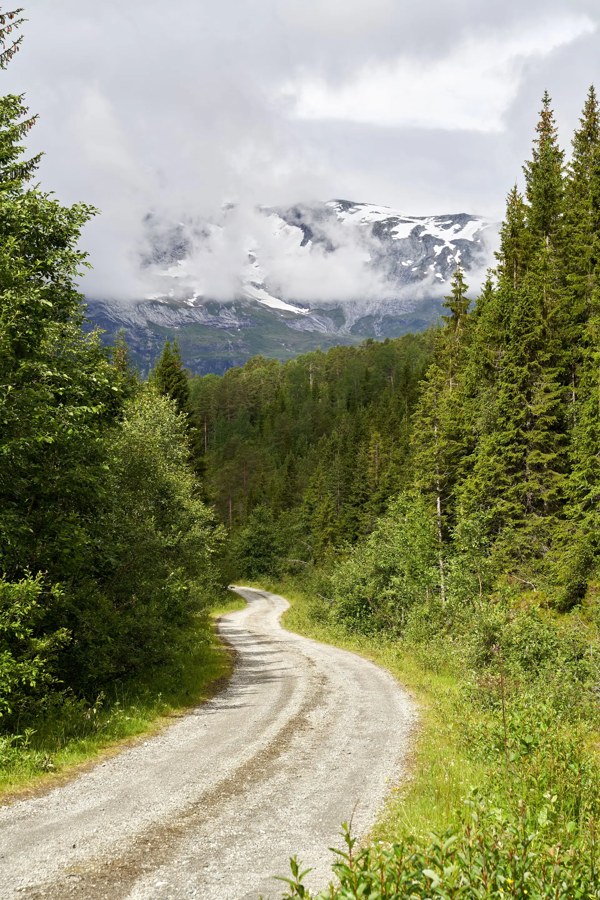 Grusvei gjennom skog mot mektige fjell
